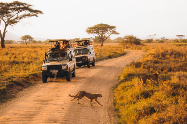  Tanzania Northern Safari Circuit